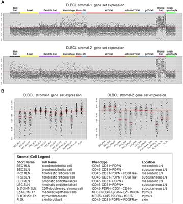 A Paradoxical Correlation of Cancer-Associated Fibroblasts With Survival Outcomes in B-Cell Lymphomas and Carcinomas